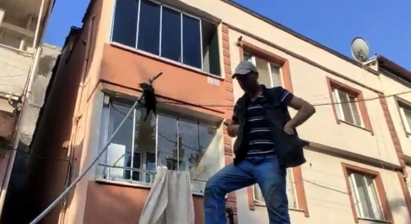 Karga elektrik tellerine asılı kaldı