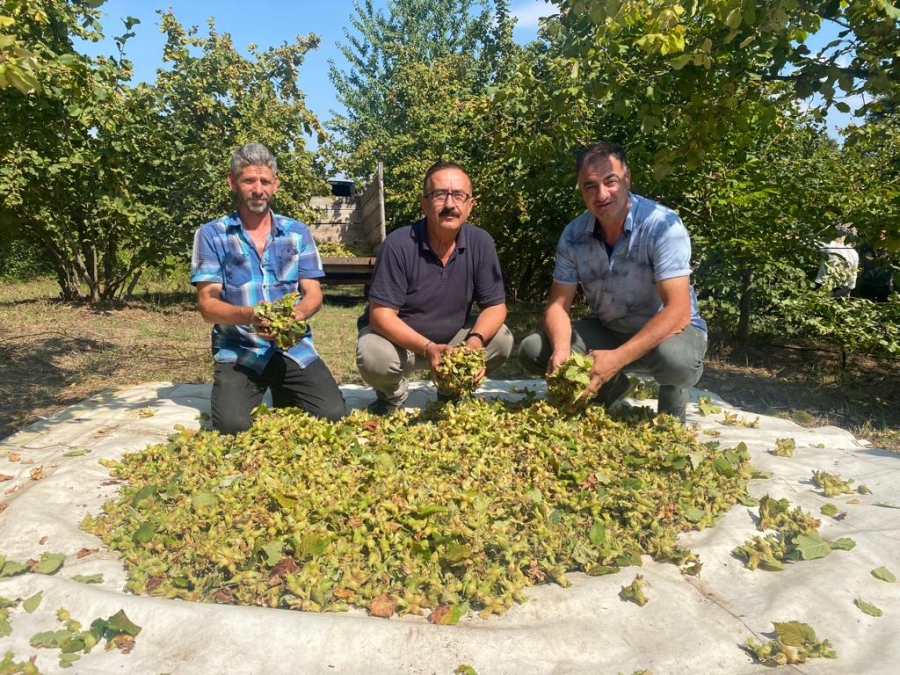 Fındık üreticisi destekleme istiyor