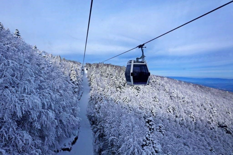 Teleferiğe 3 haftalık bakım molası