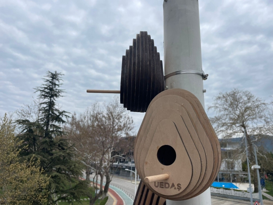 Sokak lambaları kuşların yeni yuvası oldu
