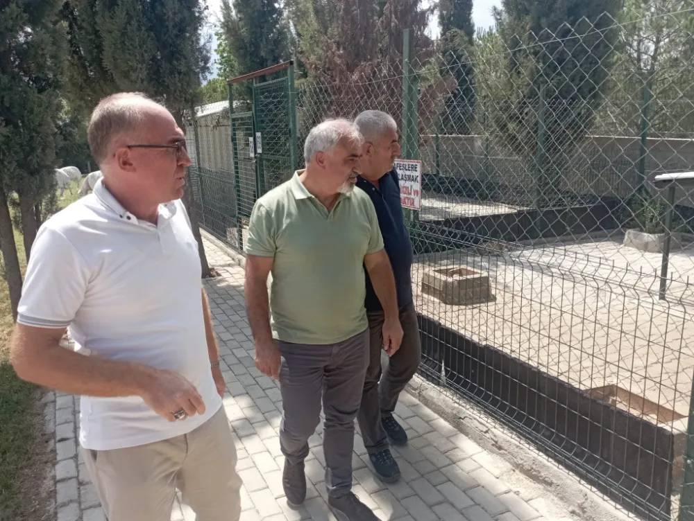 Barınakta bir olumsuzluk görmedik