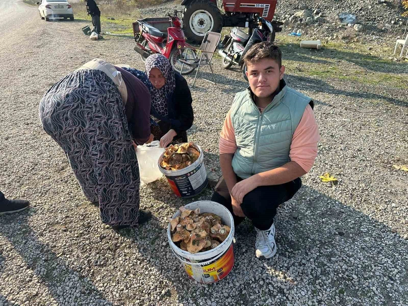 Okul harçlığını 