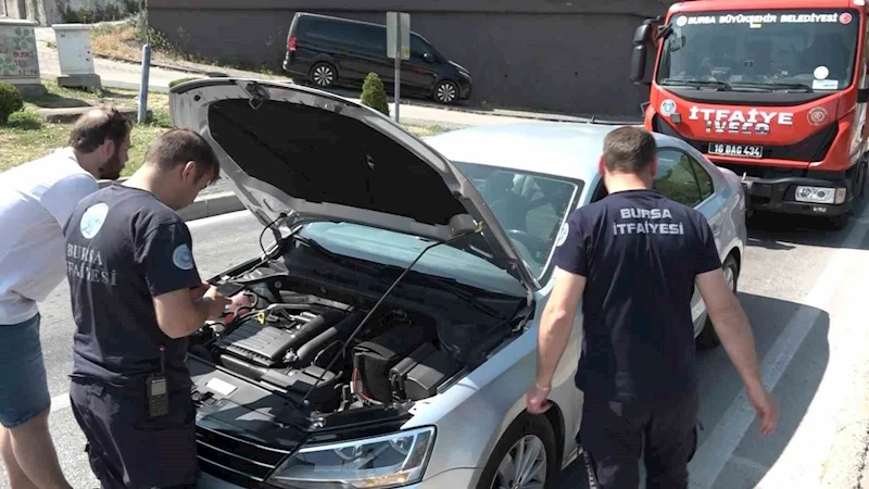 Yavru kedi, trafiği kilitledi
