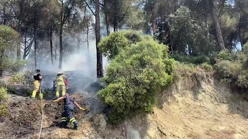 Gemlik’te çamlık alanda çıkan yangın kısa sürede söndürüldü
