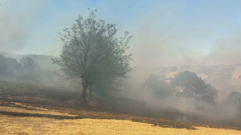Kestel’de orman yangını
