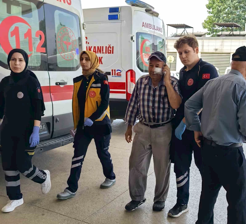 Kendini serinletmeyen bahçıvanı darp etti
