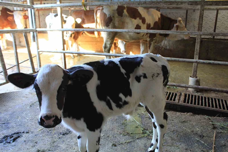 Tarım ve Orman Bakanı Yardımcısı Gümen’den TARPOL’un 