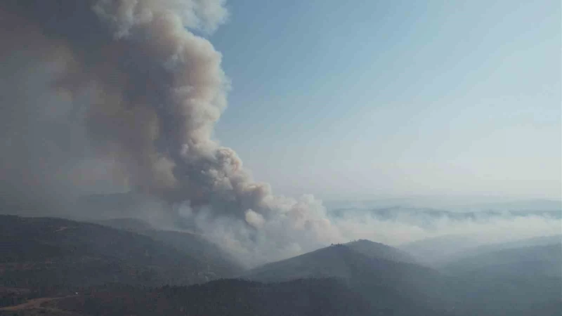 Bursa’da alevler yeniden yükseldi, müdahale havadan görüntülendi
