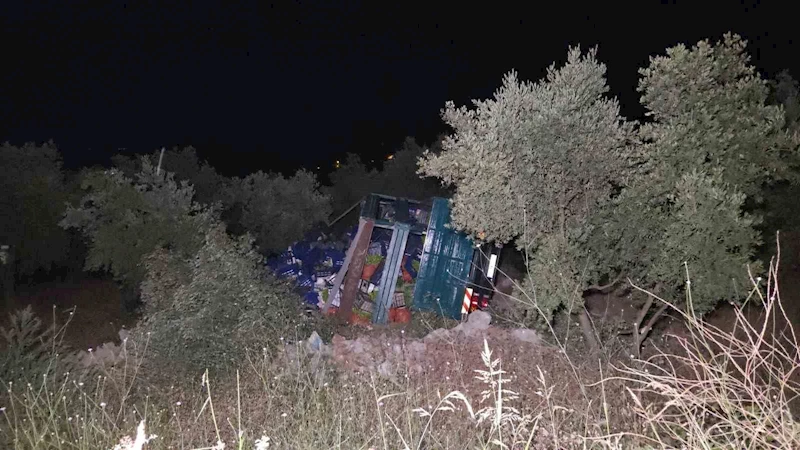 Biber yüklü kamyon zeytinliğe uçtu: 1 yaralı
