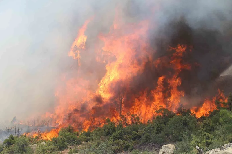Bursa’da alevler tekrar yükseldi
