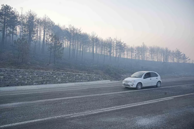 Bursa’daki orman yangını 3. gününde... Gökyüzünü kaplayan duman bulutundan göz gözü görmüyor
