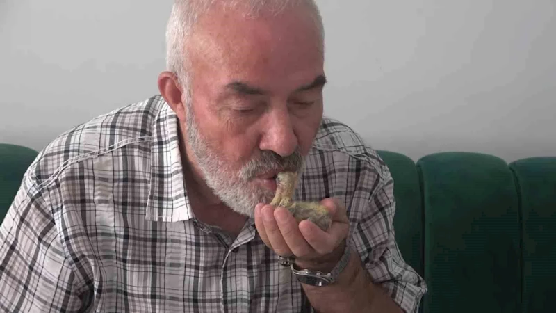 Ölmek üzereyken bulduğu kuşu ağzıyla besliyor
