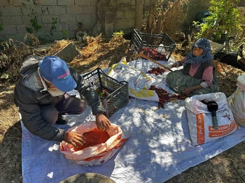 90 yaşındaki annenin evlat sevgisi acı biberi tatlı kıldı
