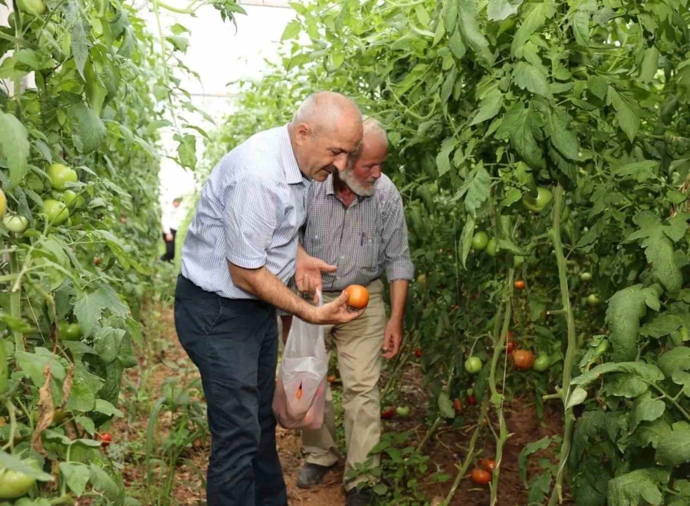 Gebze Belediyesinden çiftçilere tarımsal üretim desteği
