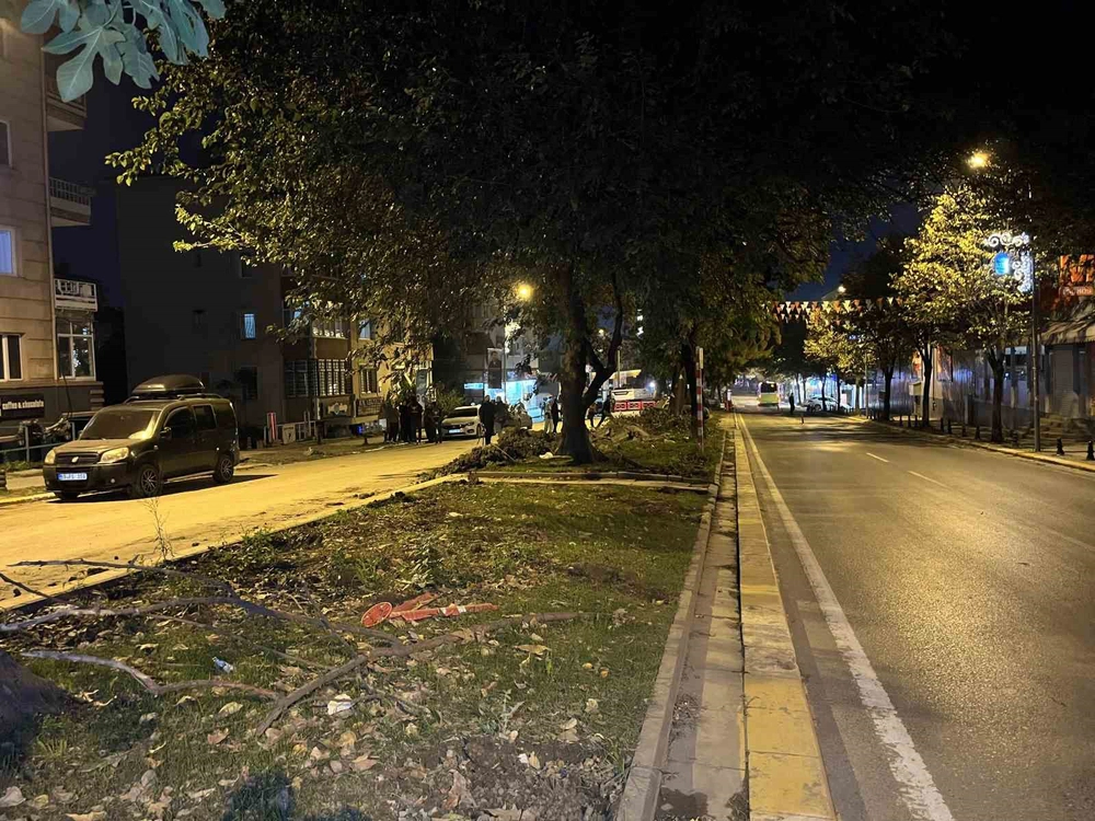 Eyüpsultan’da ağaç kesimi iddiaları sonrası vatandaşlardan İBB’ye tepki
