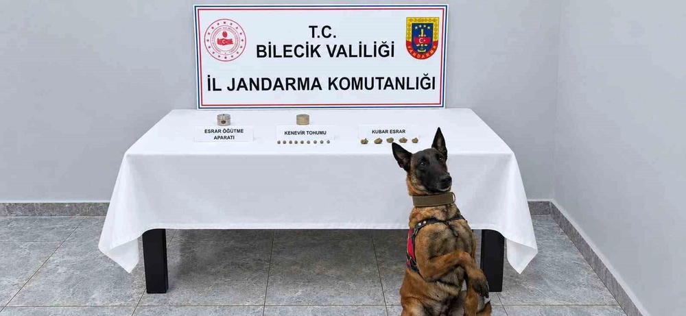 Narkotik köpeği uyuşturucuyu kokusundan buldu
