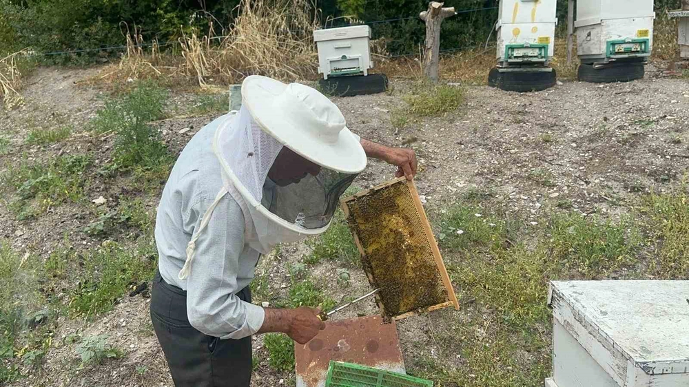Emekli Başgardiyanın 20 Yıldır Avrupa'ya Gönderdiği Doğal Bal