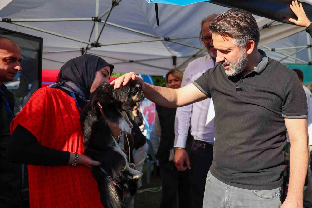 Bursa Büyükşehir Belediyesi'nden 92 Can Dostu İçin Büyük Yuvalandırma Şenliği