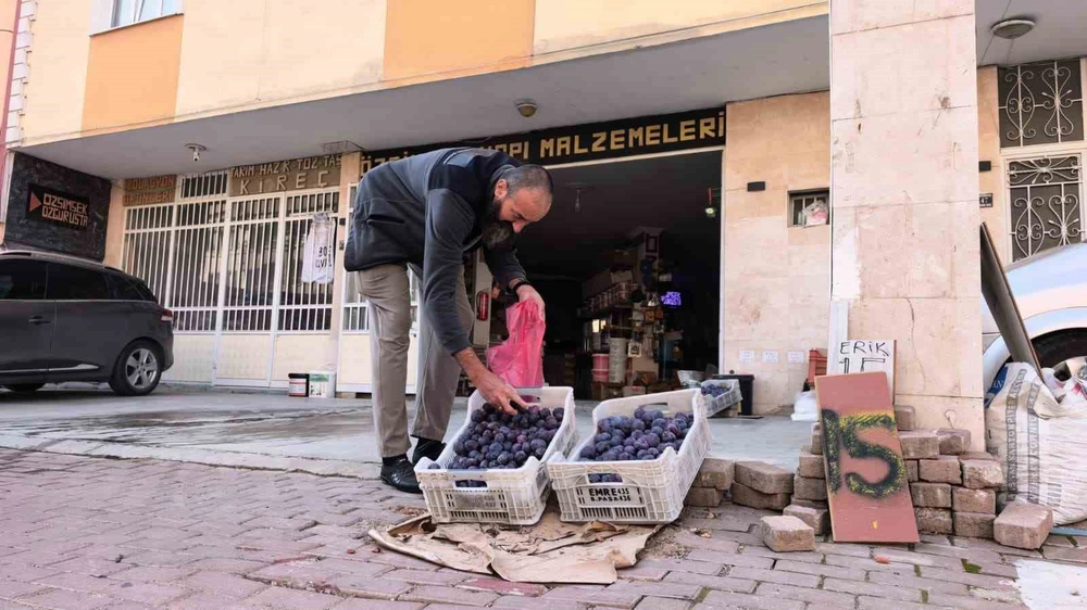 Bursa'da Ürününü Çöpe Atmak Yerine Sosyal Medyada Paylaşan Çiftçi Fenomen Oldu