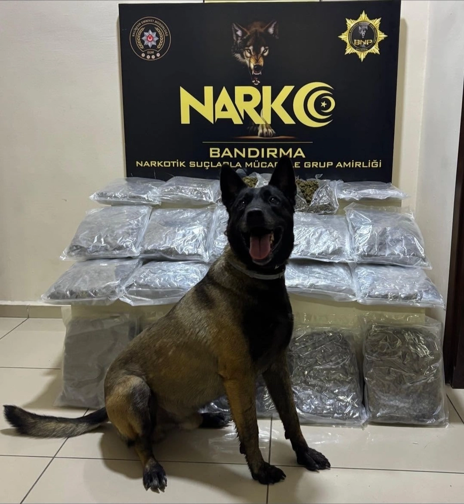 Bandırma’da gübre torbalarının altına gizlenen 11,2 kilo skunk ele geçirildi
