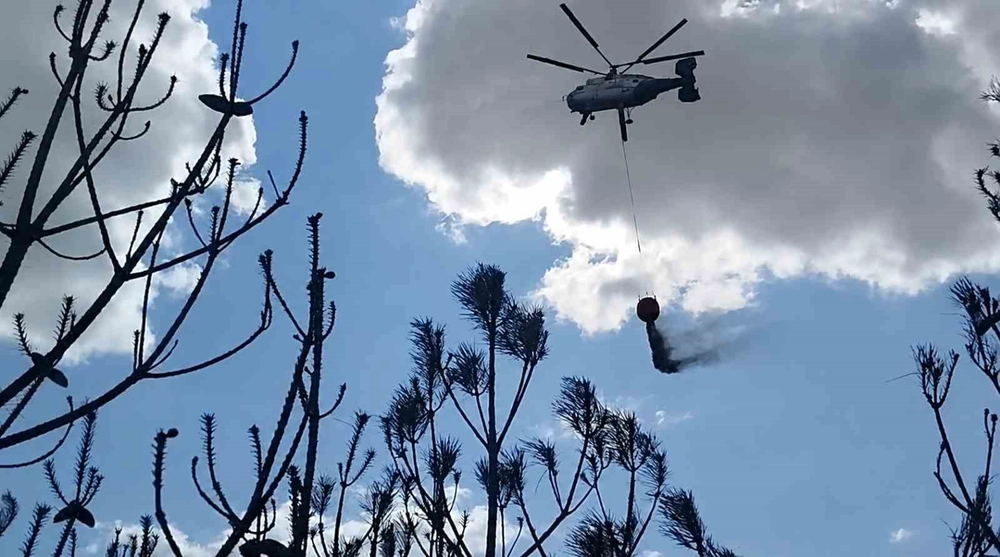 Kırklareli’deki orman yangını söndürüldü: 35 dekar alan zarar gördü
