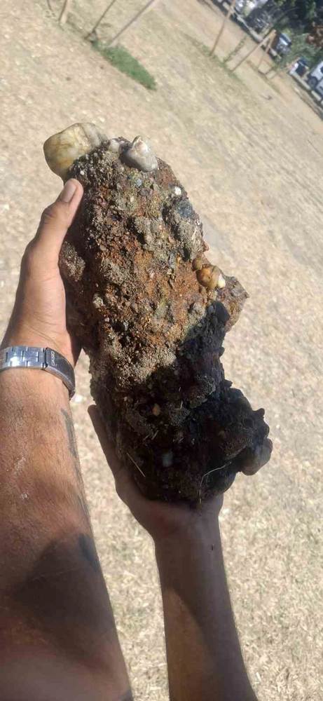 Çanakkale’de plajda patlamamış askeri mühimmat bulundu
