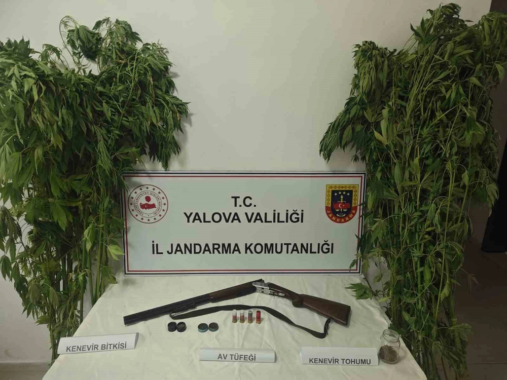 Yalova'da Jandarmadan Sera Baskını: 2 Gözaltı