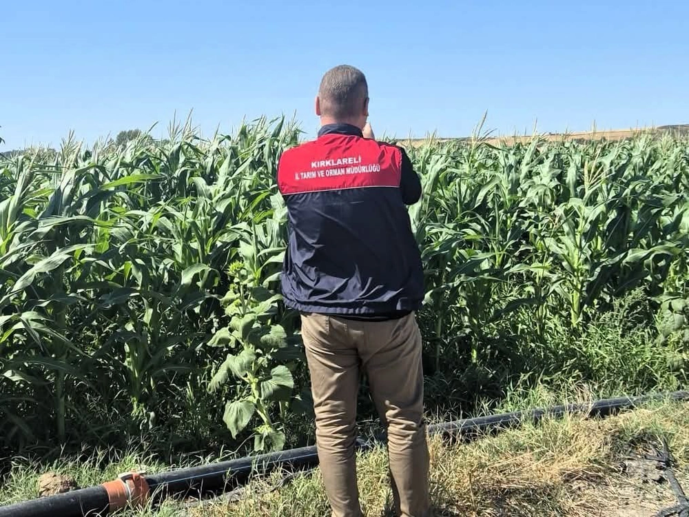 Lüleburgaz'da Tarım Arazileri Yerinde Kontrol Ediliyor