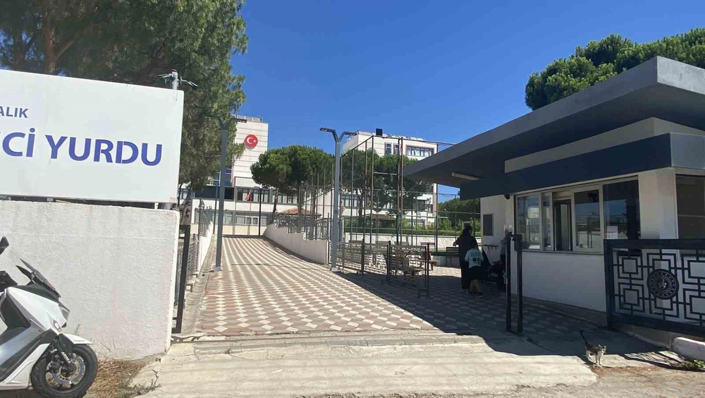 Ayvalık ve Gömeç'te yangından etkilenen köylüler devlet korumasında