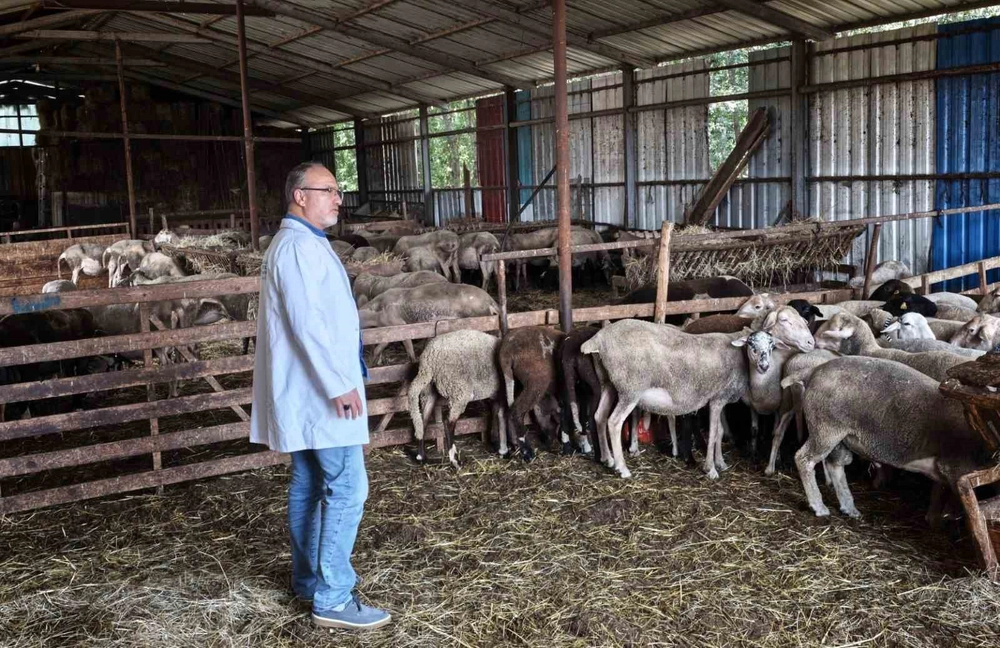 Kocaeli'de Hayvancılıkta Danışmanlık ve Denetim Hizmetleri Sürüyor