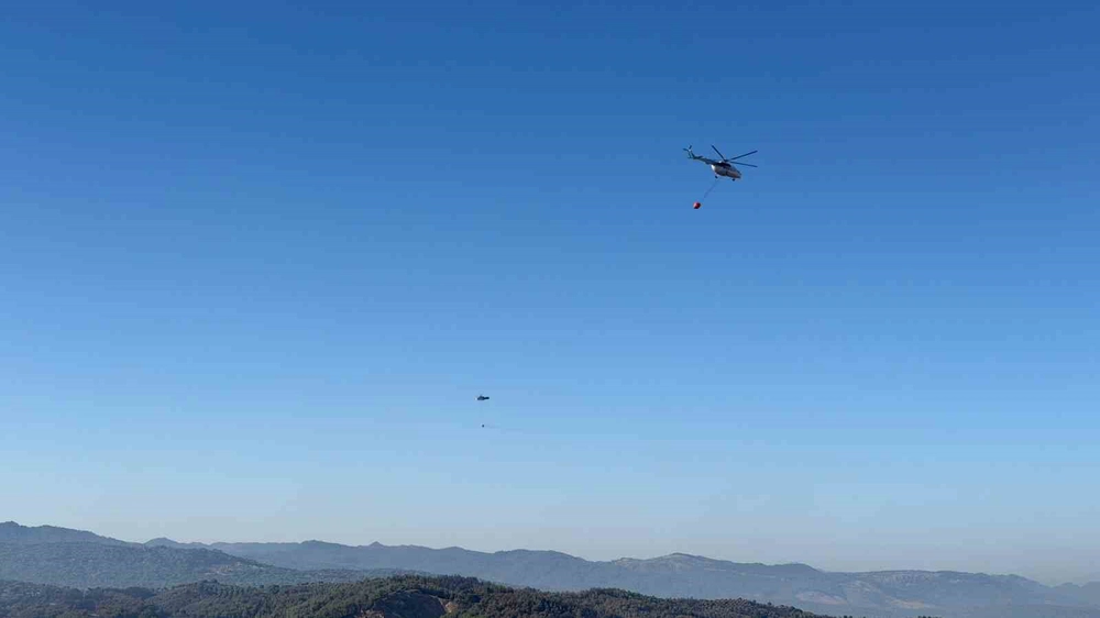 Gömeç ve Ayvalık'taki Orman Yangını Kontrol Altına Alındı