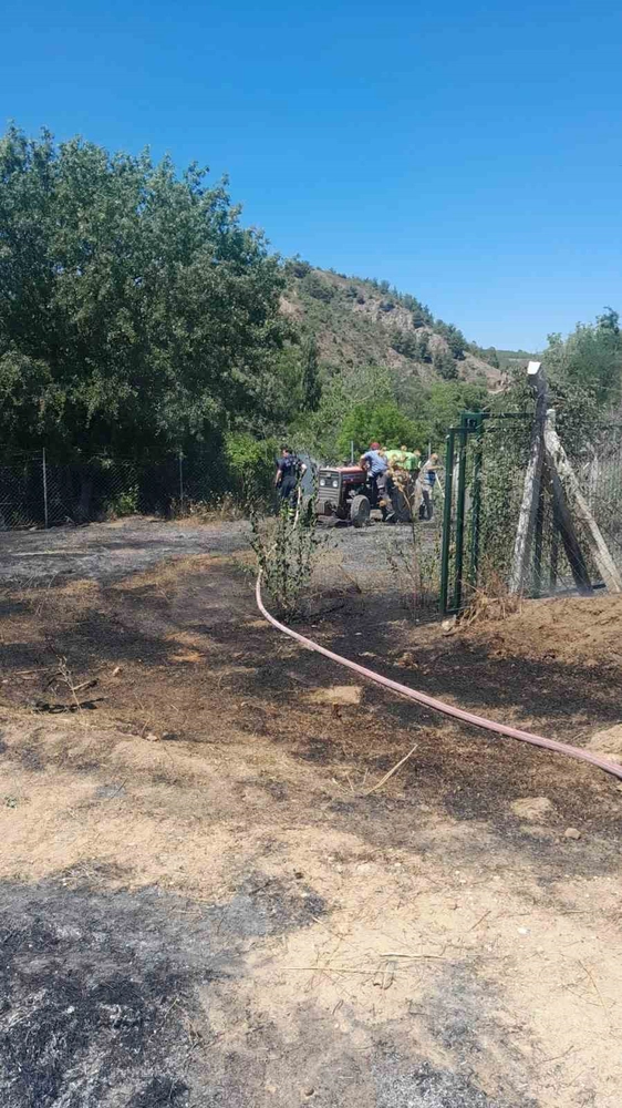 Bilecik'te Otluk Yangın Ormana Sıçramadan Söndürüldü