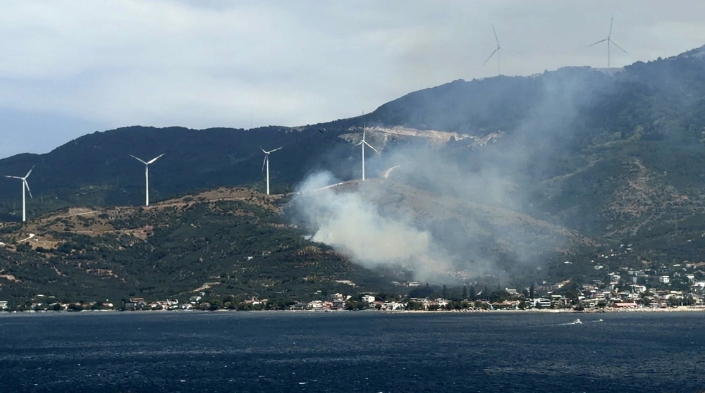Marmara'daki Orman Yangınında Gözaltı