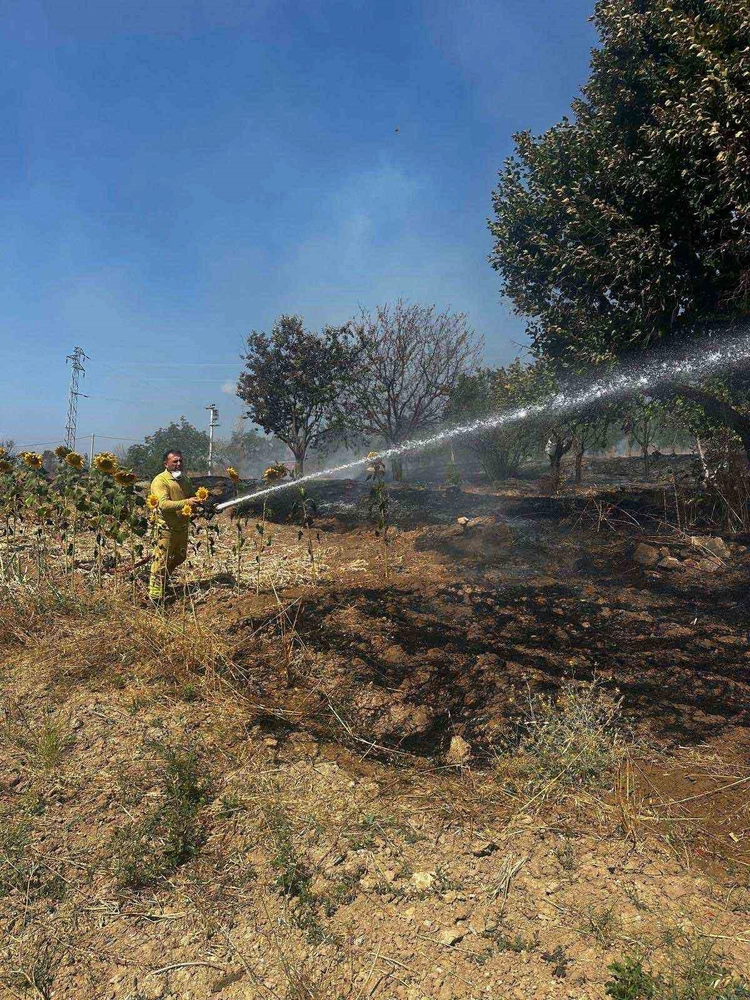 Bilecik'te Ot Yangını Korku Dolu Anlara Neden Oldu
