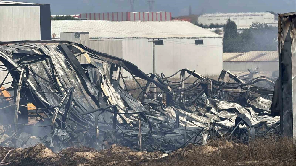 Gebze'deki Kimya Fabrikasında Yangın: 2 İşçi Yaralandı, 2 At Telef Oldu