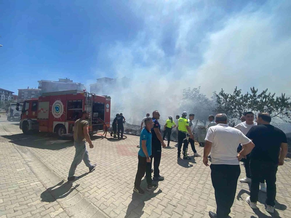 Çorlu'da Ot Yangını Tır ve İki Araca Sıçradı