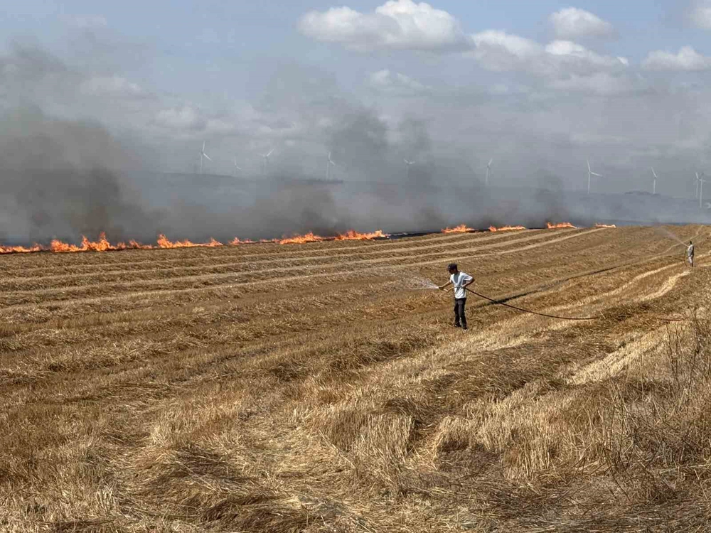 Silivri'de Tarla Yangını Geniş Alana Yayıldı TEM Otoyolu Kapatıldı