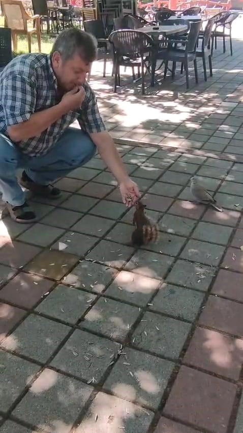 İnegöl'de Sincap ve Kumruyu Elleriyle Besledi