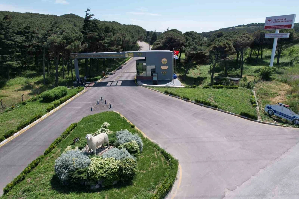 Bandırma Koyunculuk Araştırma Enstitüsü'nün TÜBİTAK Projesine Destek