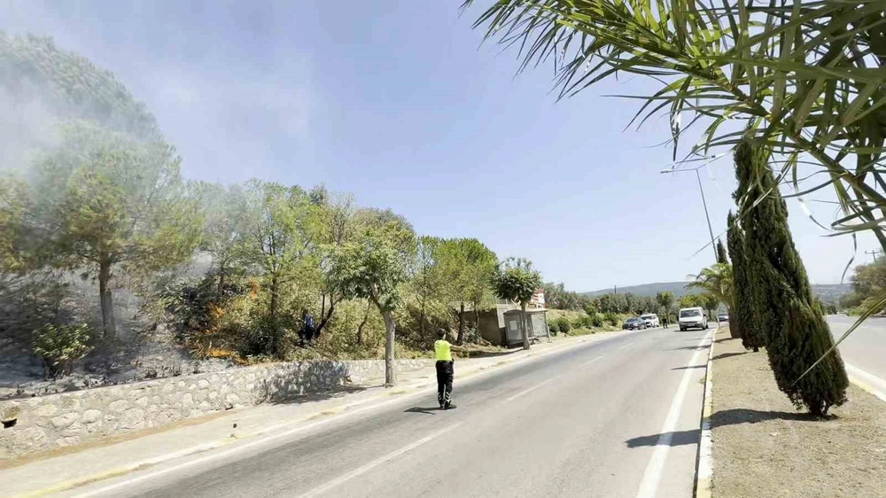 Erdek'te Yol Kenarında Çıkan Yangın Ormana Sıçradı Ekiplerin Müdahalesiyle Söndürüldü