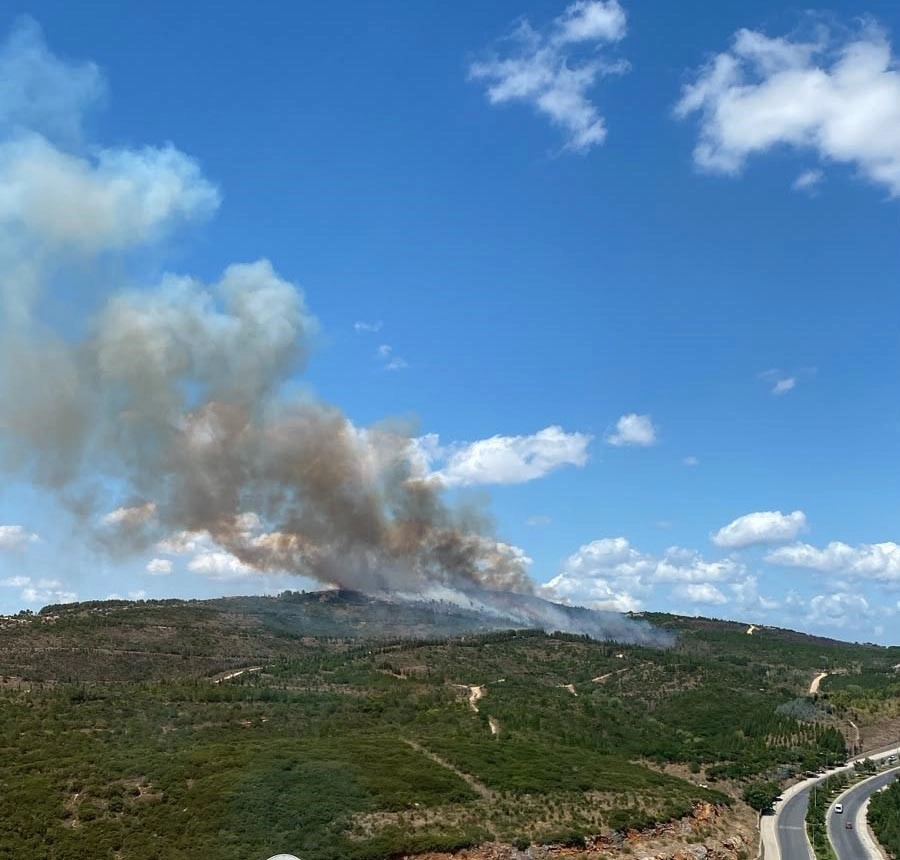 Gebze'de Orman Yangını 1.5 Saatte Kontrol Altına Alındı