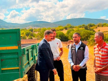 Gölpazarı'nda Ayçiçeği Ekimi 11 Bin 700 Dekar Arttı