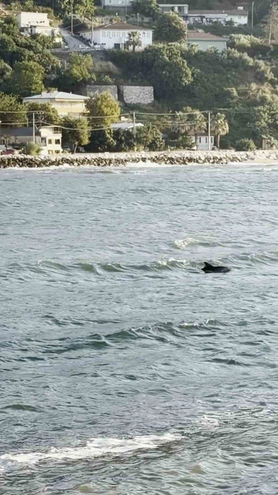 Bursa'da Yunusun Görsel Şöleni Kamerada