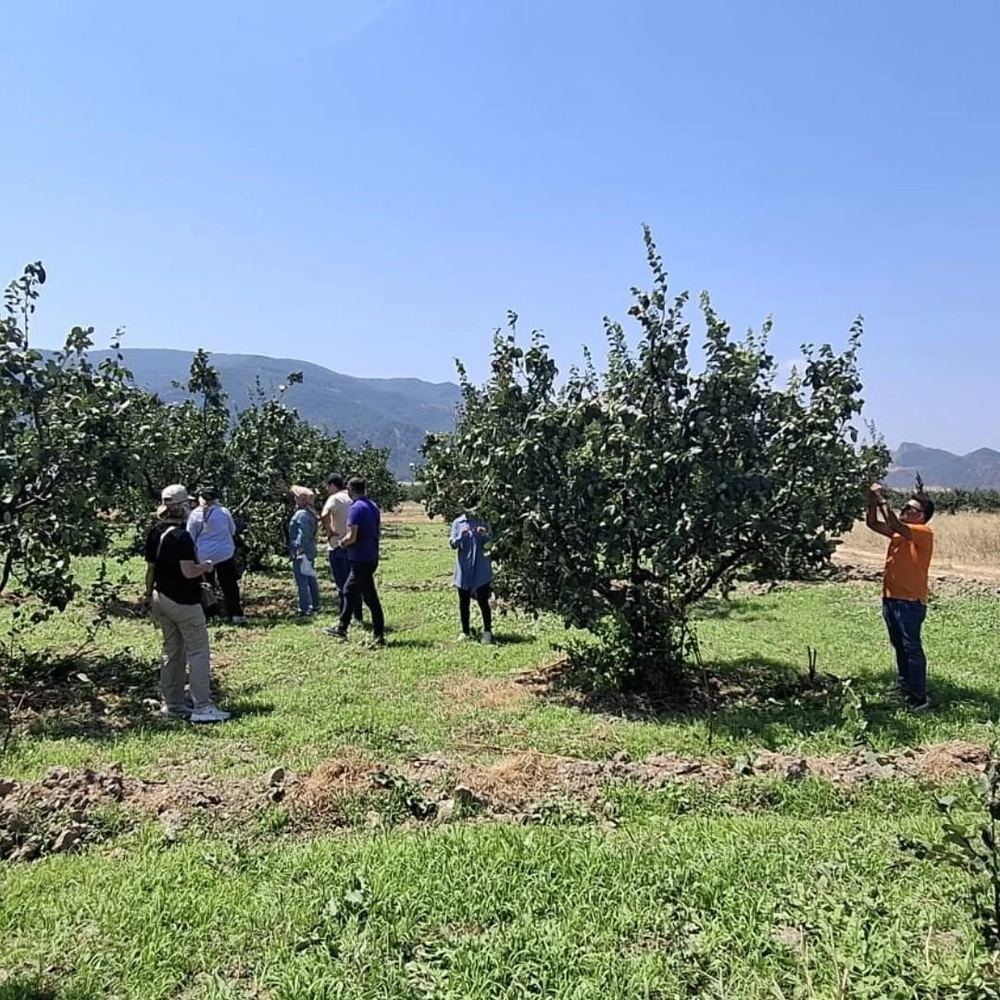 Osmaneli'de Tarım Arazileri Hastalık ve Zararlılara Karşı Denetlendi
