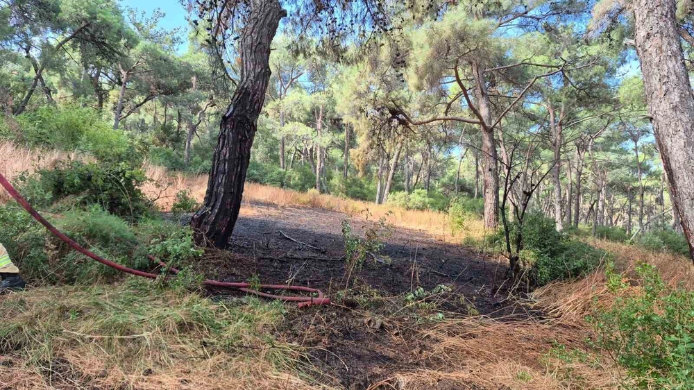 Heybeliada'da Orman Yangını Panik Yarattı Ekipler Hızla Müdahale Etti