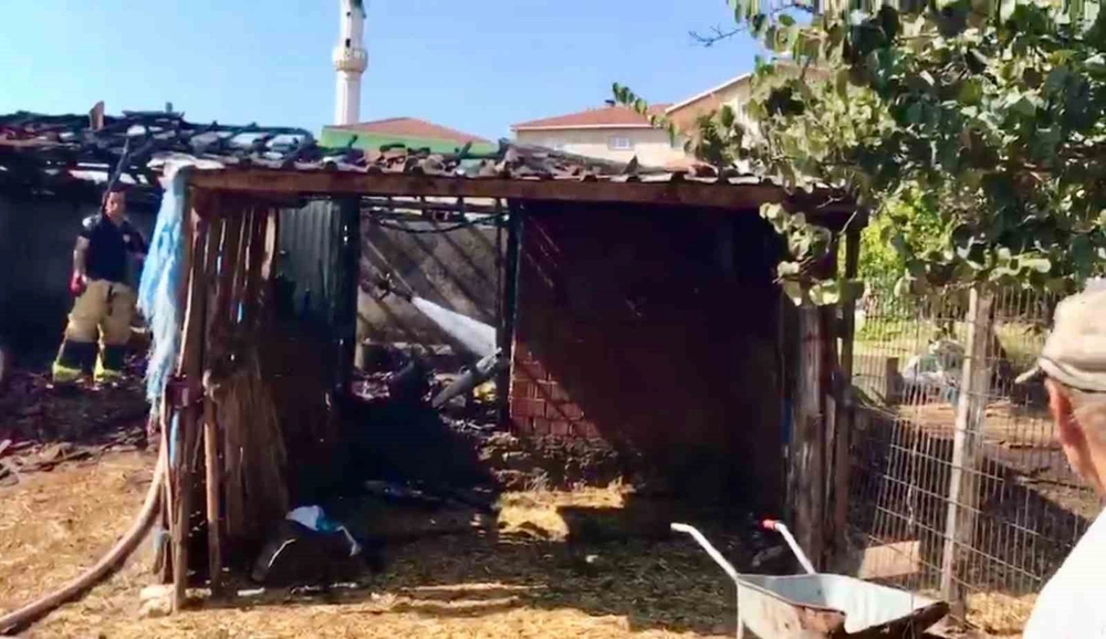 Çanakkale'de Ahır Yangını Söndürüldü