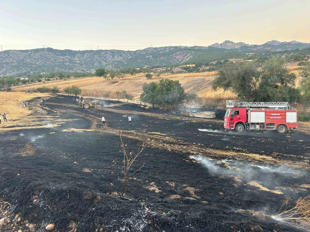 Bilecik'te Buğday Tarlasında Yangın Kontrol Altına Alındı