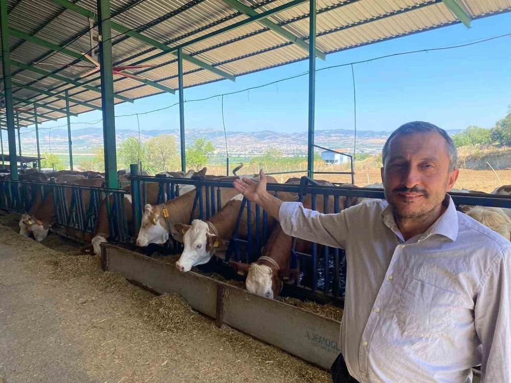 Bursalı Üreticiler Yapay Zekayla Avrupa Standartlarında Süt Üretiyor