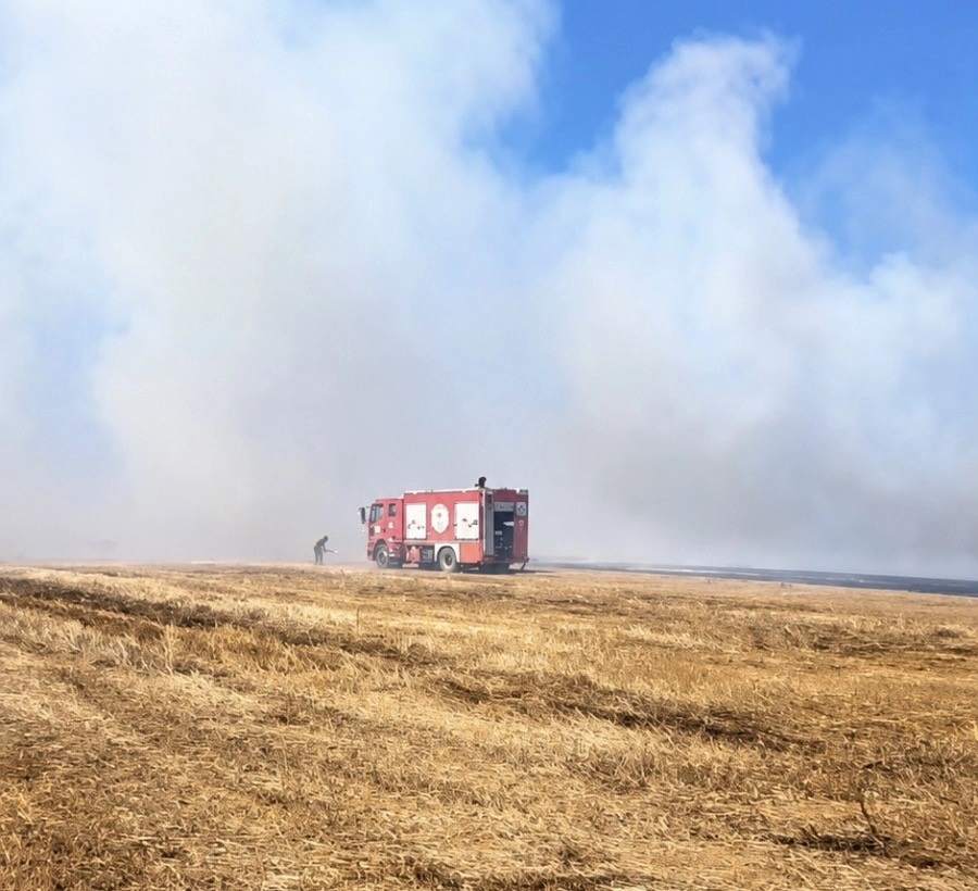Tekirdağ Muratlı'da Anız Yangını Söndürüldü