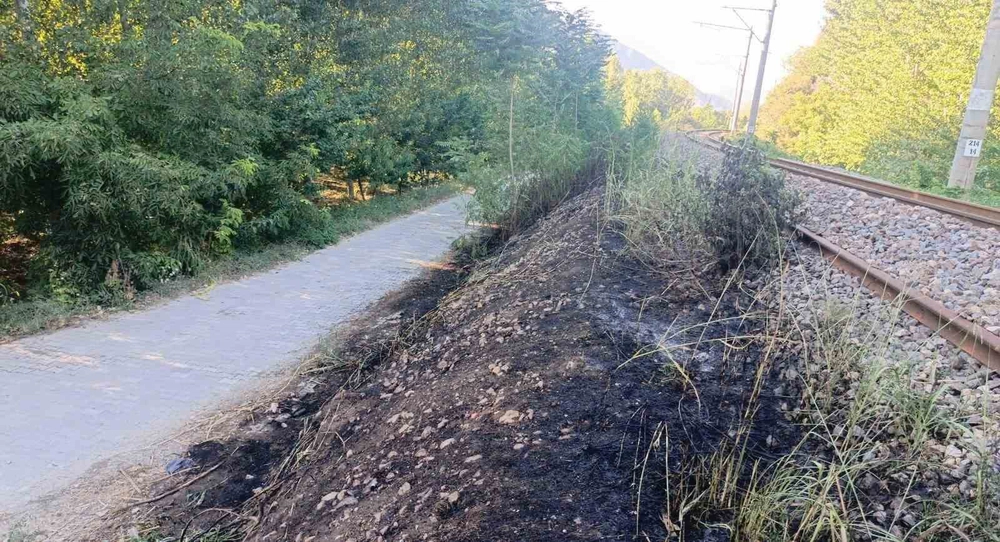 Bilecik'te YHT Hattı Kenarındaki Yangın Kontrol Altına Alındı
